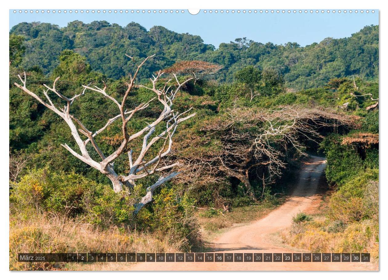 Bild: 9783435656646 | Südafrika - Die Landschaft (Wandkalender 2025 DIN A2 quer),...