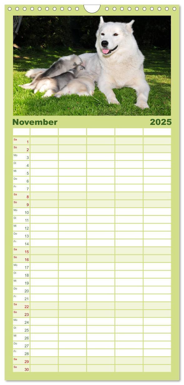 Bild: 9783457109922 | Familienplaner 2025 - Husky Welpen mit 5 Spalten (Wandkalender, 21...