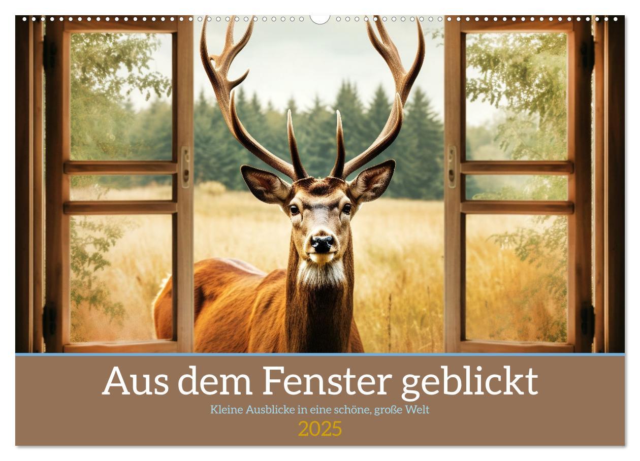 Cover: 9783383832451 | Aus dem Fenster geblickt (Wandkalender 2025 DIN A2 quer), CALVENDO...