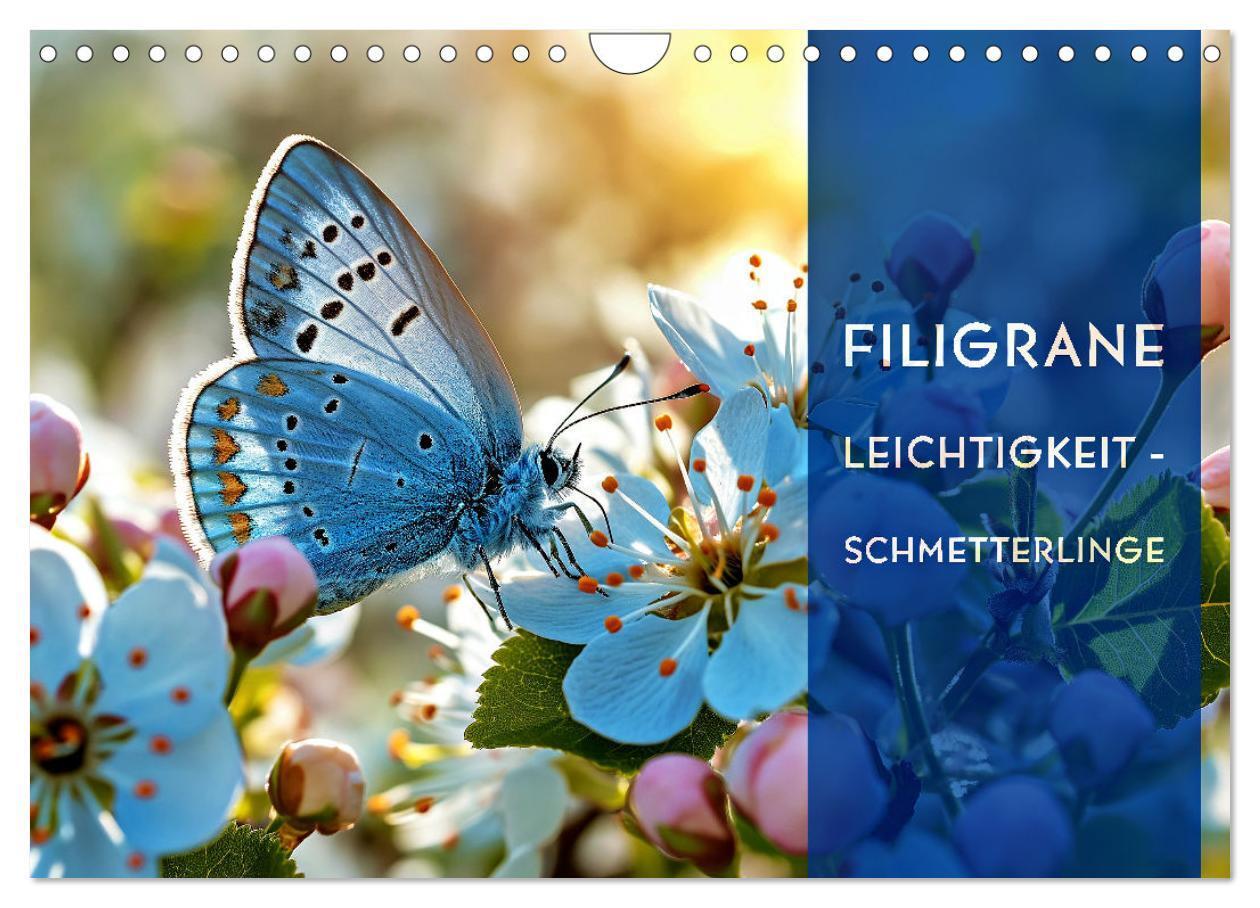 Cover: 9783435687282 | Filigrane Leichtigkeit - Schmetterlinge (Wandkalender 2025 DIN A4...