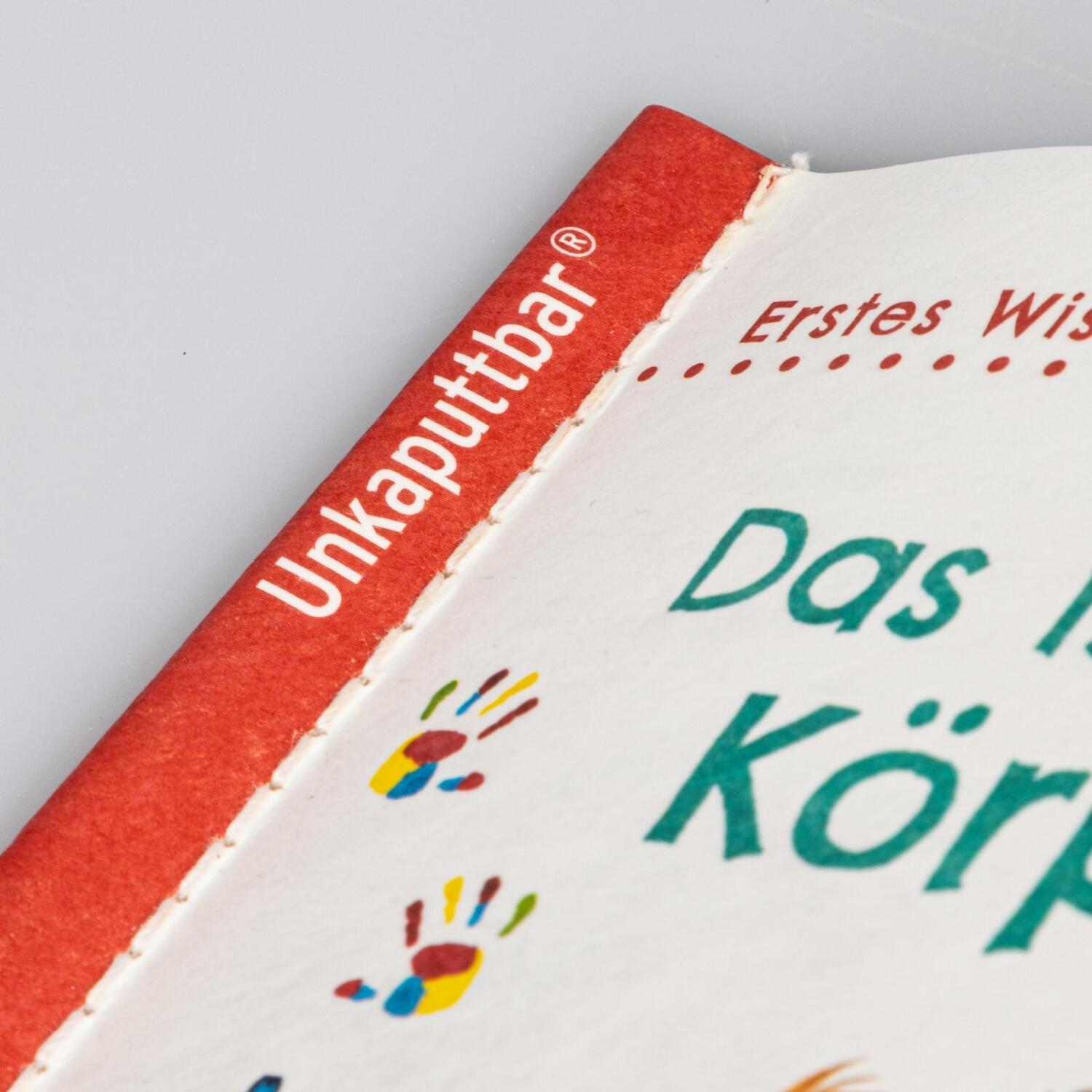 Bild: 9783551036155 | Unkaputtbar: Erstes Wissen: Das ist mein Körper | Maria Höck | Buch