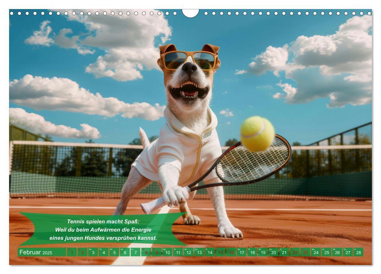 Bild: 9783457180495 | Der tierisch lustige Tennis-Kalender (Wandkalender 2025 DIN A3...