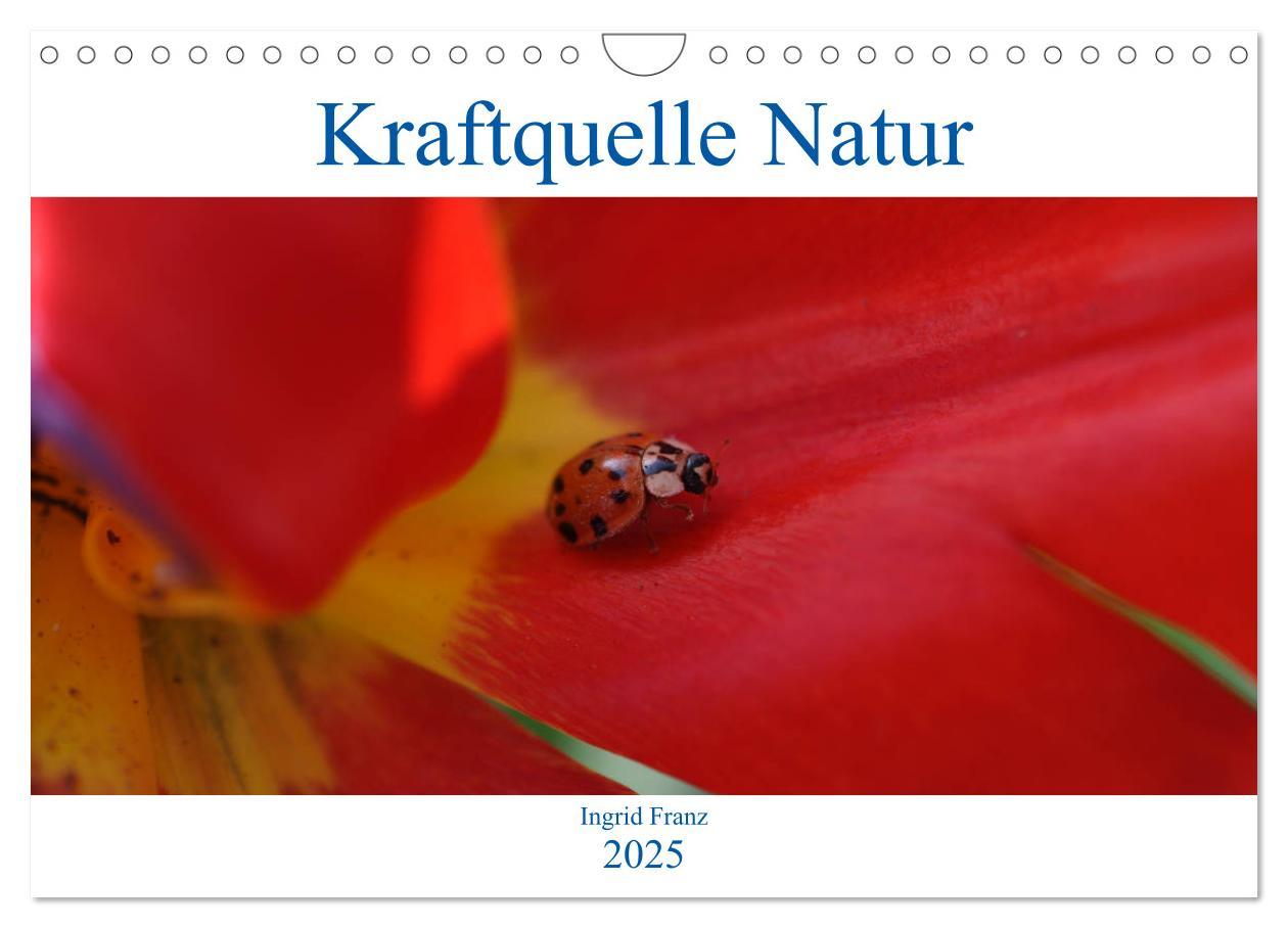 Cover: 9783435122271 | Kraftquelle Natur (Wandkalender 2025 DIN A4 quer), CALVENDO...