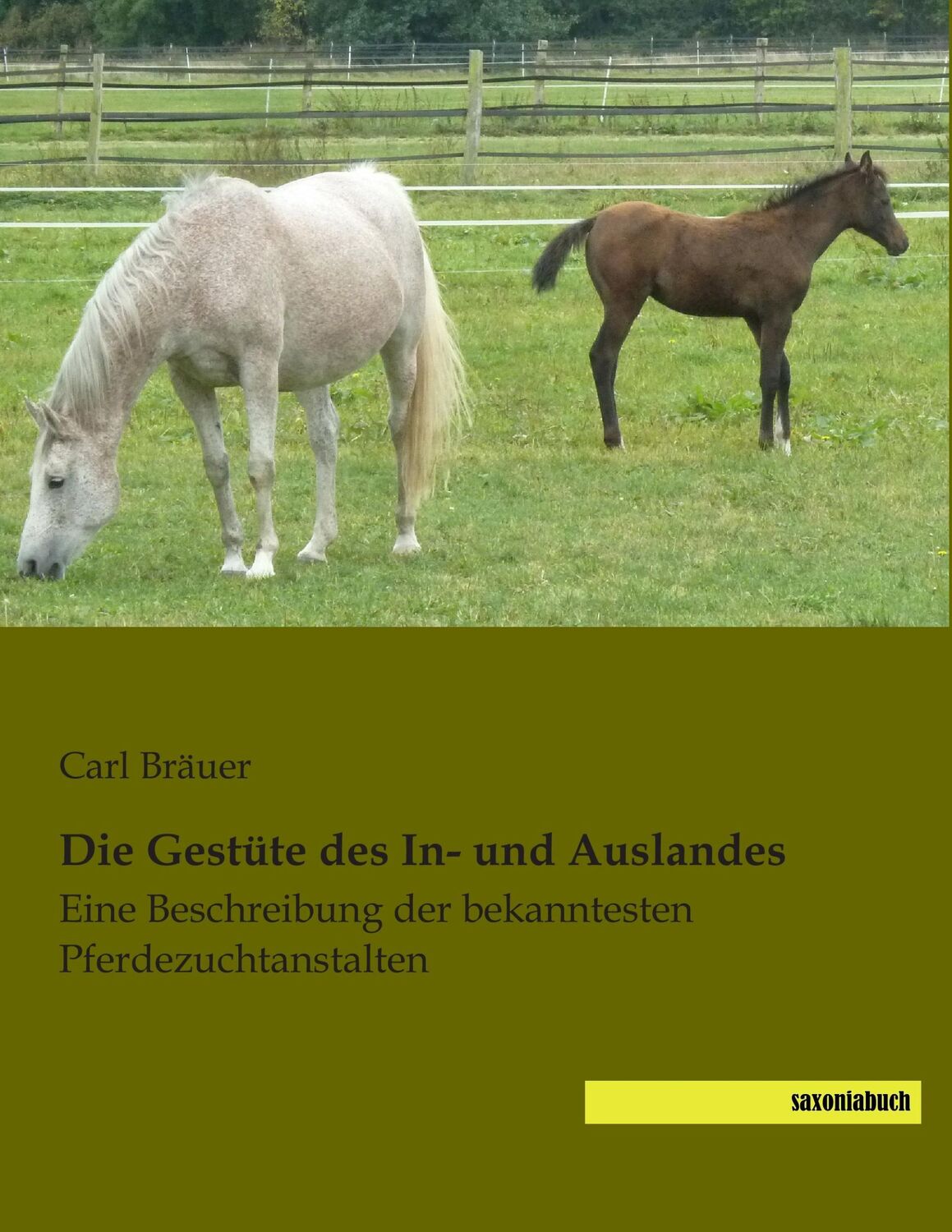 Cover: 9783957700162 | Die Gestüte des In- und Auslandes | Carl Bräuer | Taschenbuch | 412 S.