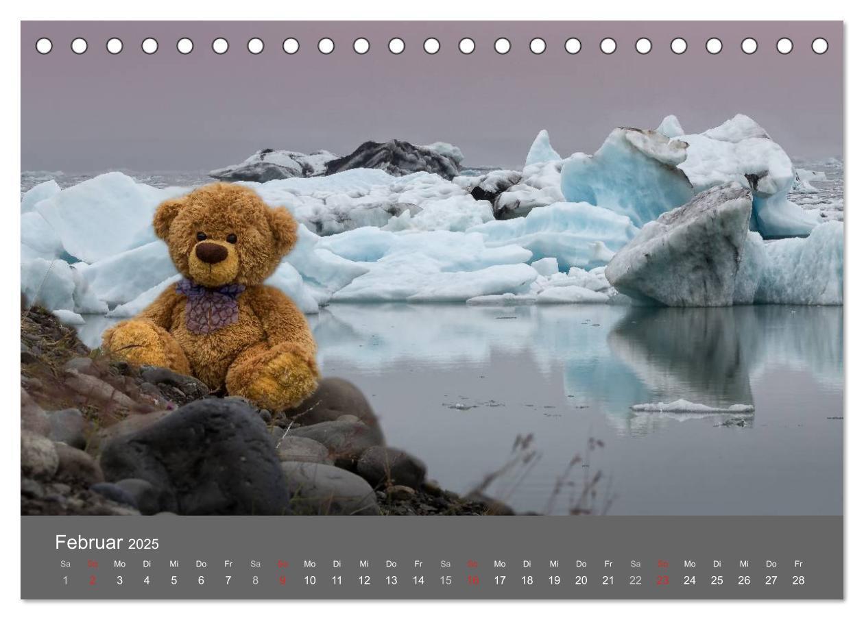 Bild: 9783435502172 | Travelling Teddy 2025 (Tischkalender 2025 DIN A5 quer), CALVENDO...