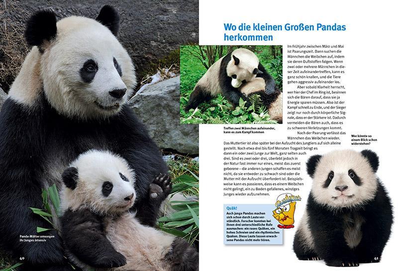 Bild: 9783866594098 | Entdecke die Pandas | Eveline Dungl (u. a.) | Buch | 64 S. | Deutsch