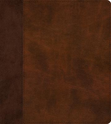 Cover: 9781433590450 | ESV Journaling Study Bible (Trutone, Brown/Chestnut, Timeless Design)