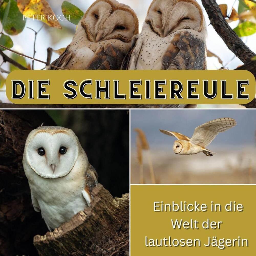 Cover: 9783750565326 | Die Schleiereule | Einblicke in die Welt der lautlosen Jägerin | Koch