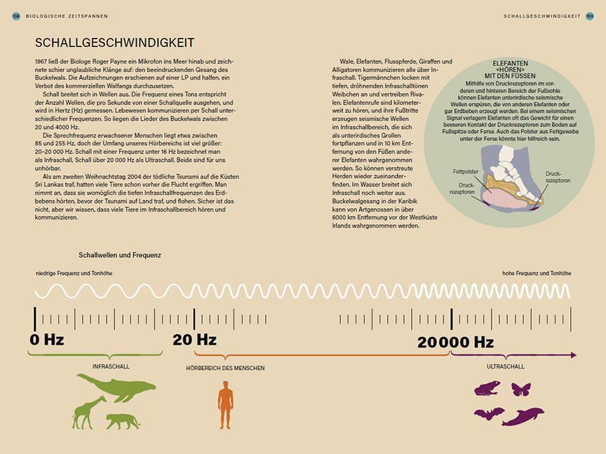 Bild: 9783258083407 | Im Takt der Natur | Helen Pilcher | Buch | 208 S. | Deutsch | 2023