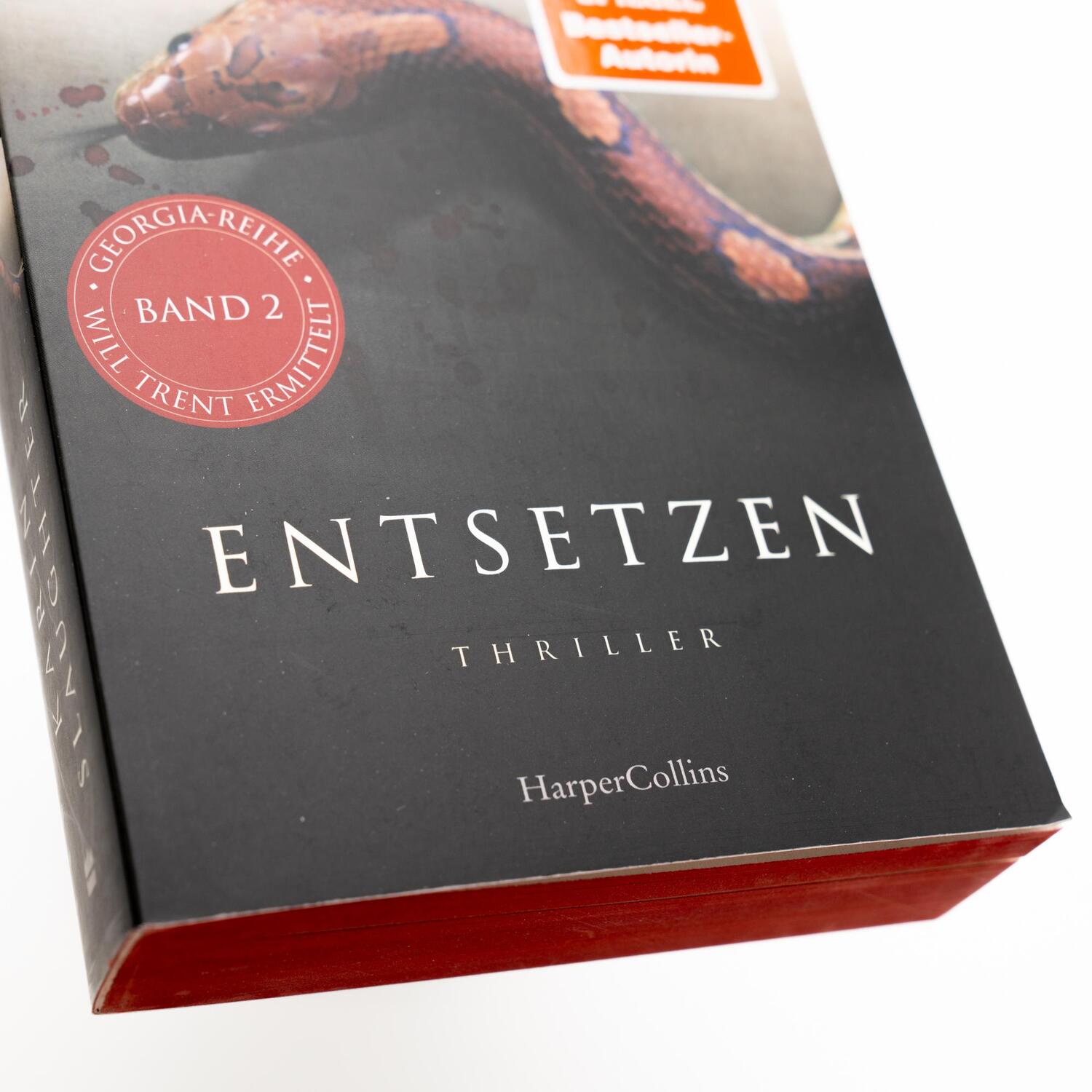 Bild: 9783365008386 | Entsetzen | Karin Slaughter | Taschenbuch | Georgia-Serie | 496 S.