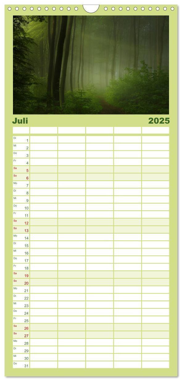 Bild: 9783457117453 | Familienplaner 2025 - Mysterium Wald mit 5 Spalten (Wandkalender,...