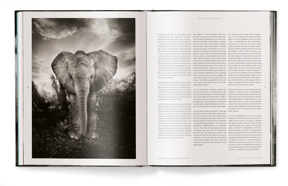 Bild: 9783961710478 | Elephants in Heaven | Joachim Schmeisser | Buch | 176 S. | Deutsch