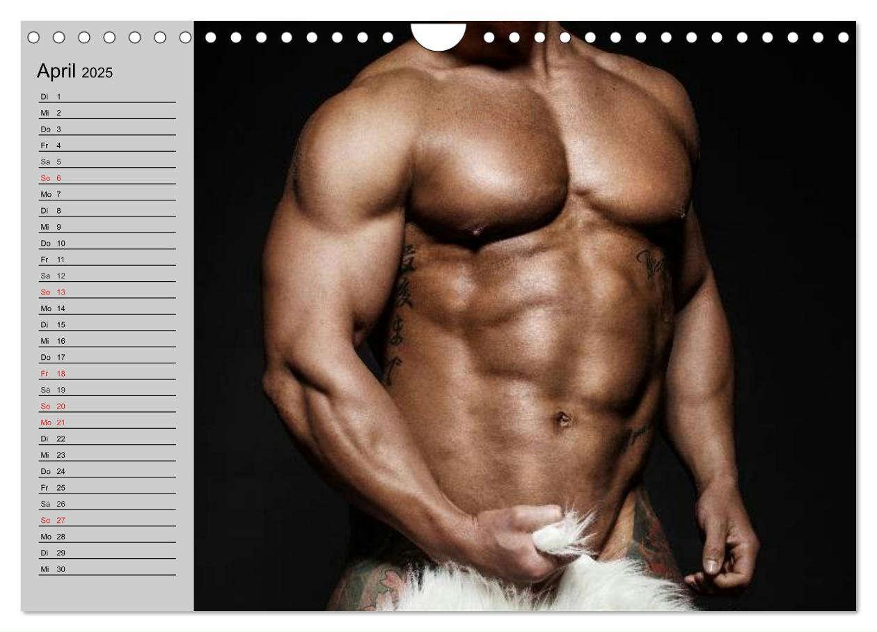 Bild: 9783435541102 | Erotische Männer. Adonis und Co. (Wandkalender 2025 DIN A4 quer),...