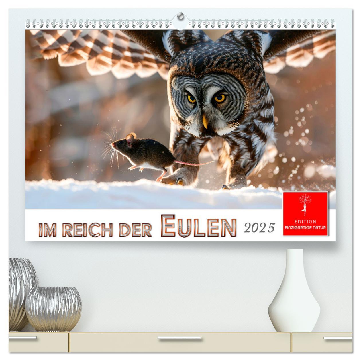 Cover: 9783457232781 | Im Reich der Eulen (hochwertiger Premium Wandkalender 2025 DIN A2...