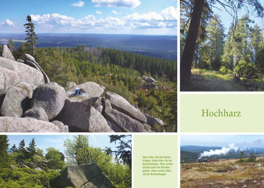 Bild: 9783765468193 | Vergessene Pfade im Harz | Richard Goedeke | Taschenbuch | 160 S.