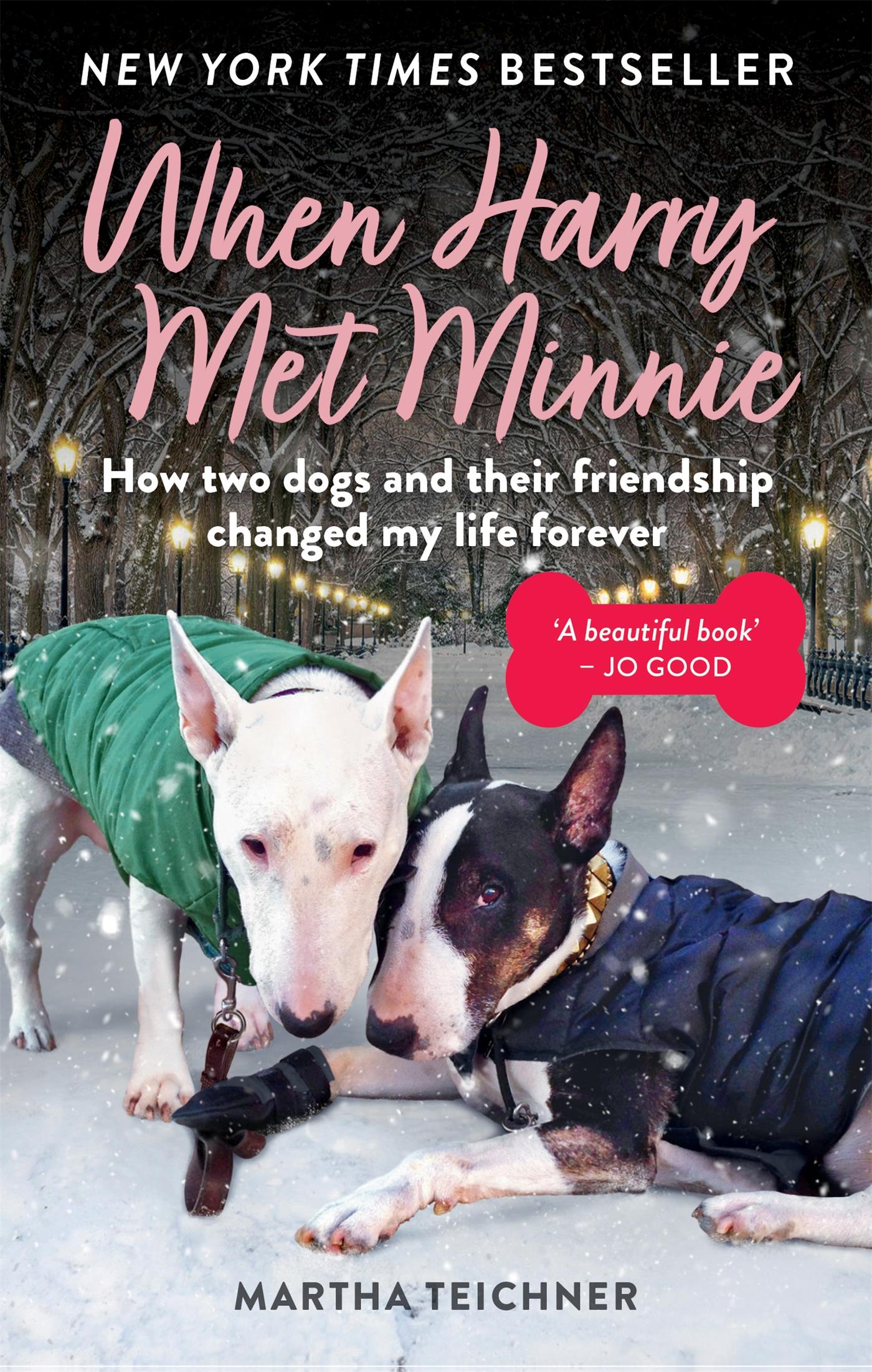 Cover: 9781783254866 | When Harry Met Minnie | Martha Teichner | Taschenbuch | Englisch