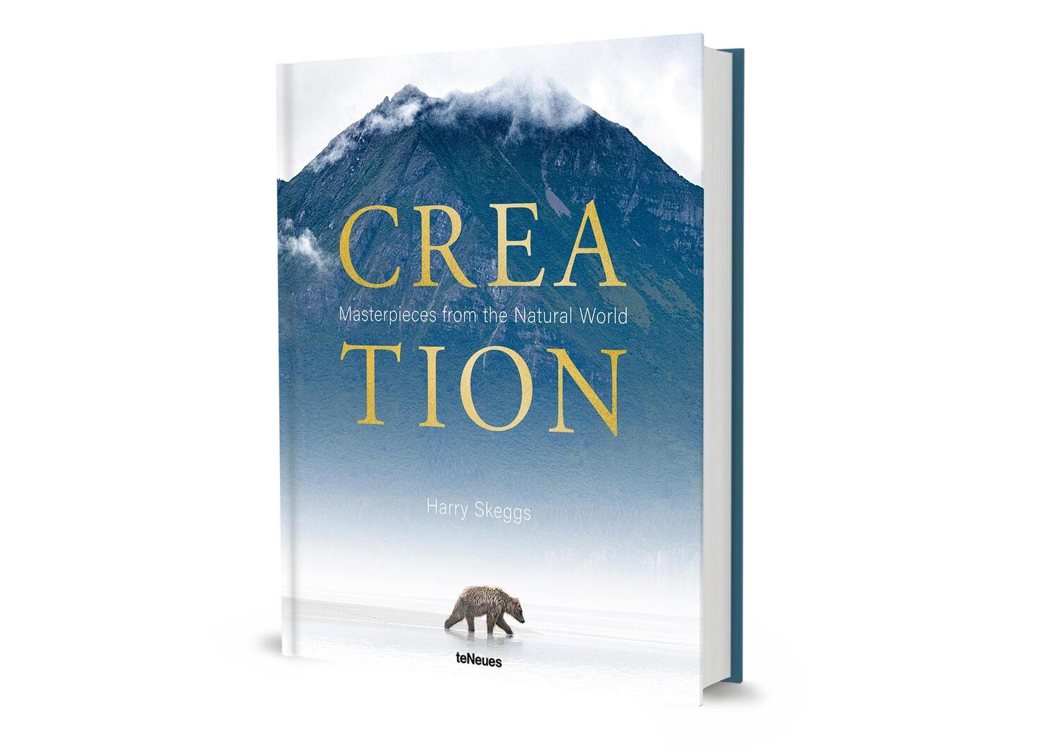 Bild: 9783961715558 | Creation | Masterpieces from the Natural World | Harry Skeggs | Buch