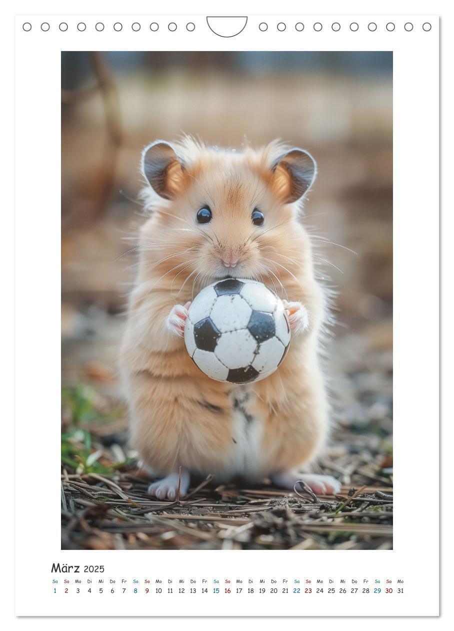 Bild: 9783435071142 | Lustige kleine Hamster (Wandkalender 2025 DIN A4 hoch), CALVENDO...