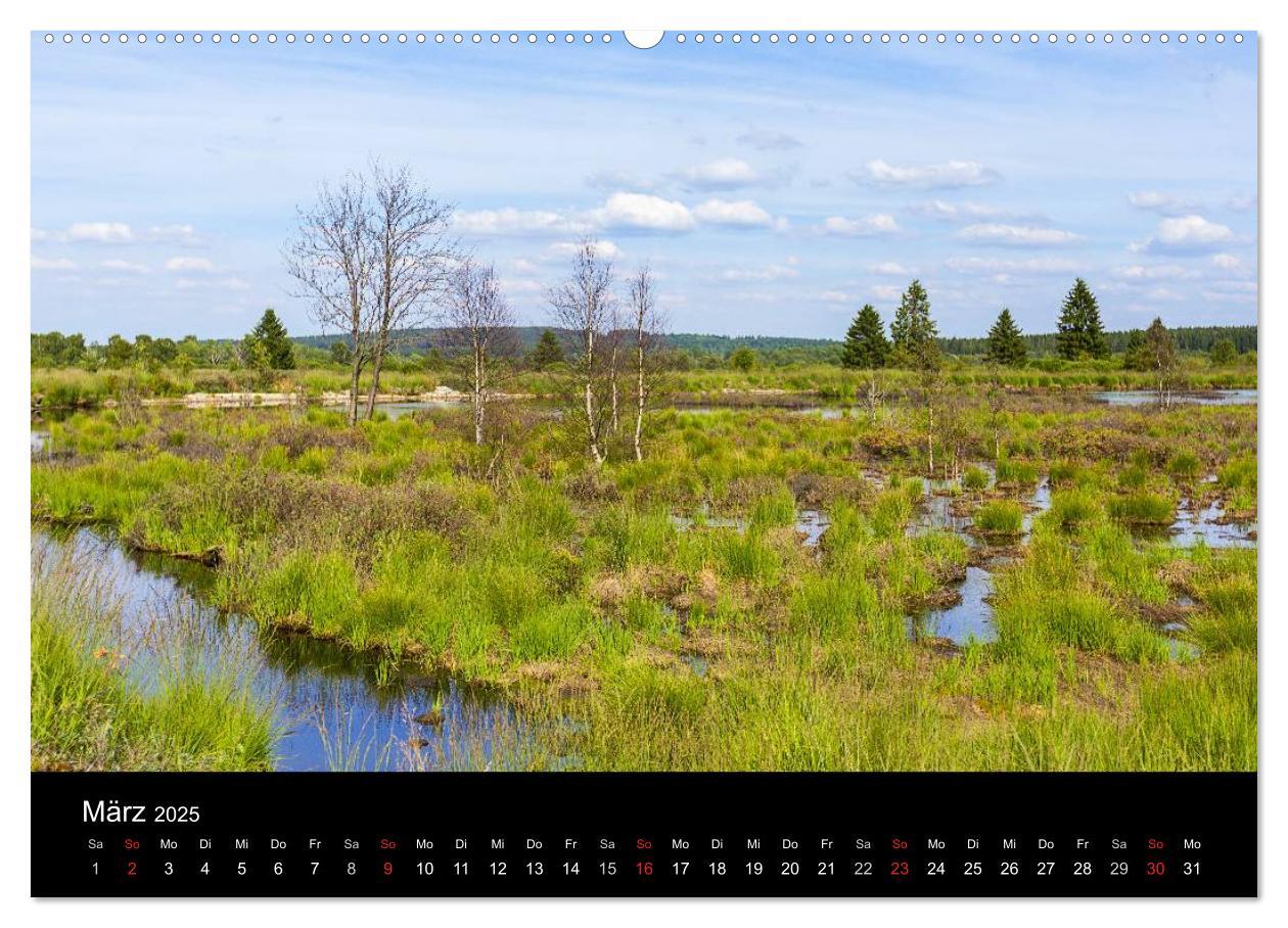 Bild: 9783435557288 | HOHES VENN - Einblicke in ein Hochmoor (Wandkalender 2025 DIN A2...