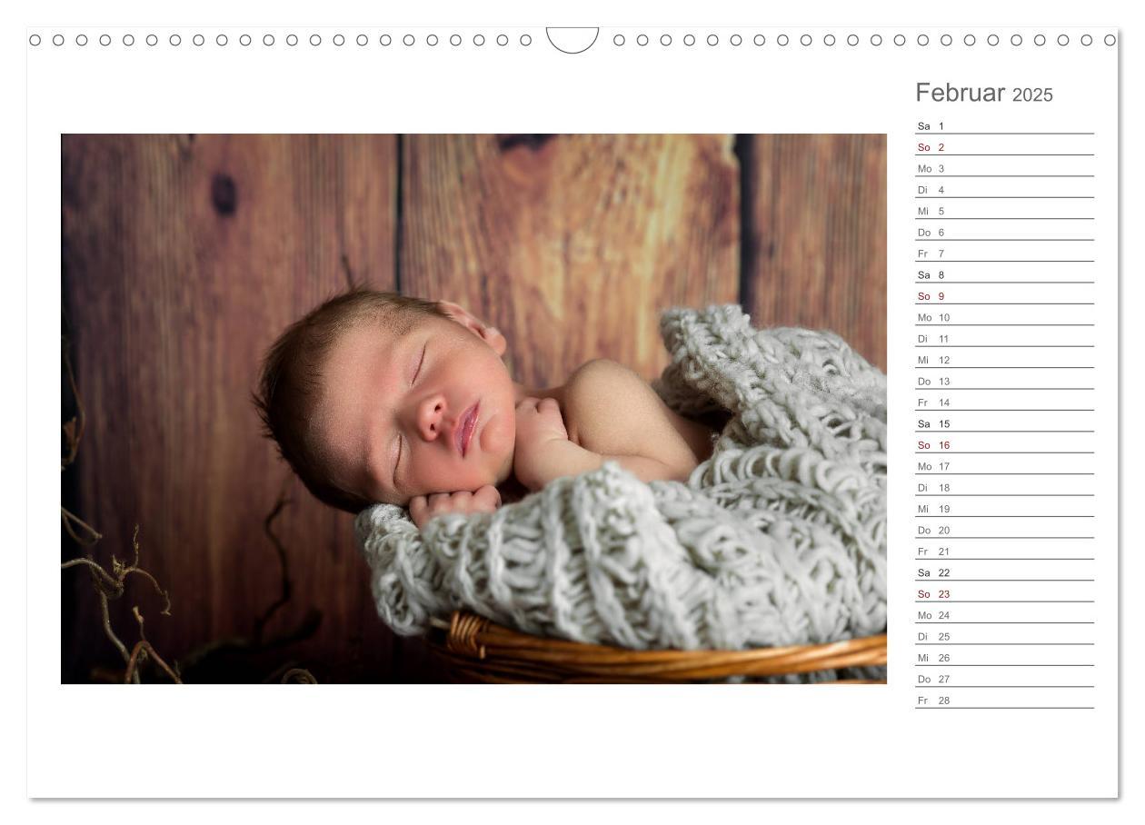 Bild: 9783435437924 | Aller Anfang ist klein - Babykalender mit Noah (Wandkalender 2025...