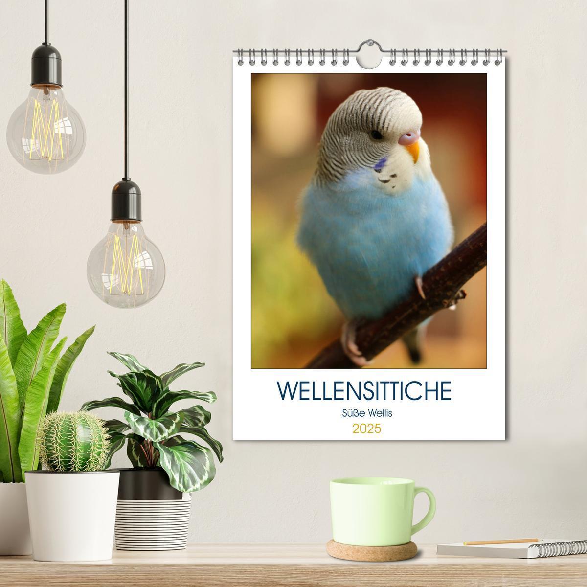 Bild: 9783435987580 | WELLENSITTICHE - Süße Wellis (Wandkalender 2025 DIN A4 hoch),...