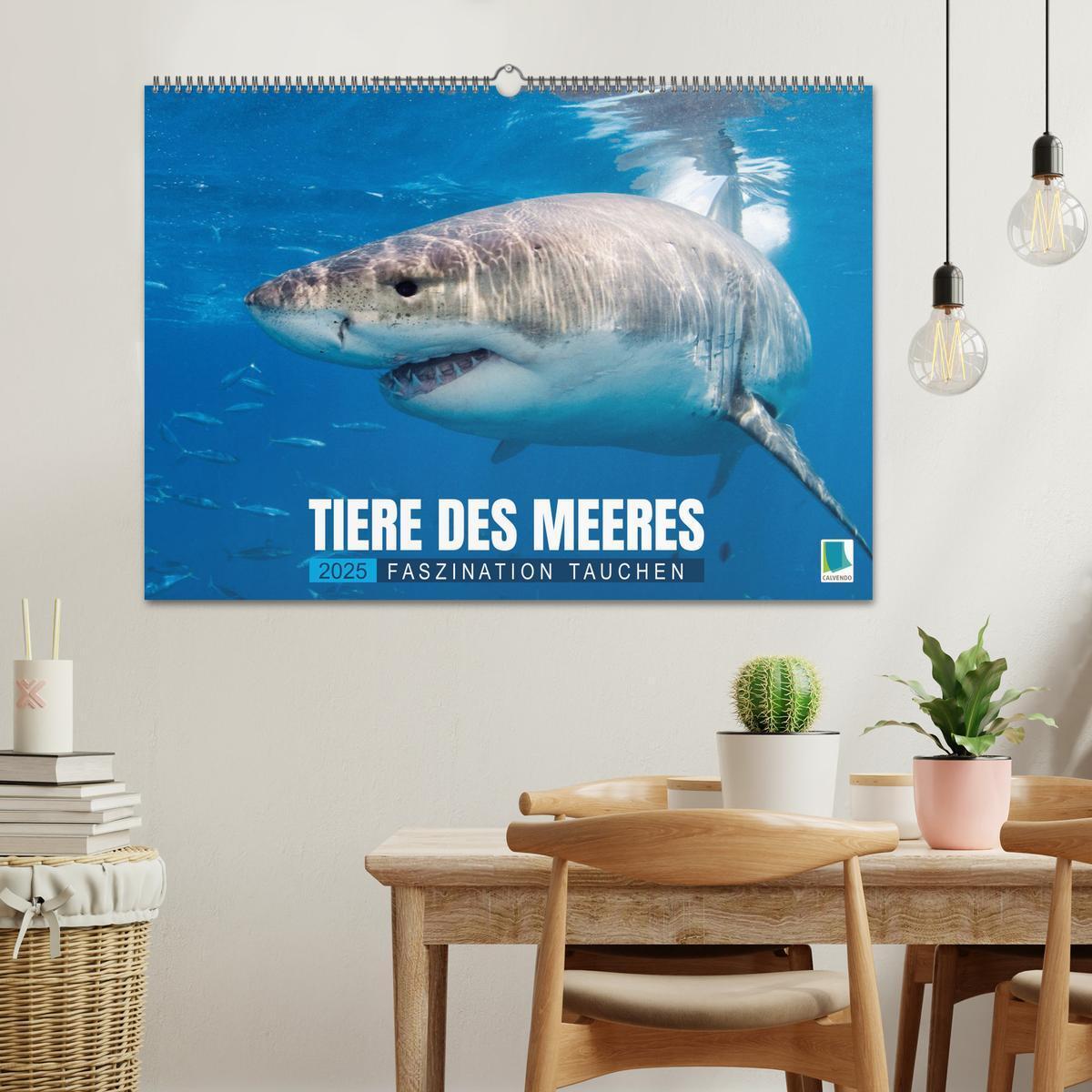 Bild: 9783457183045 | Tiere des Meeres: Faszination Tauchen (Wandkalender 2025 DIN A2...