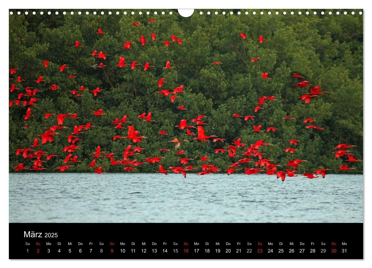 Bild: 9783435810345 | Trinidad &amp; Tobago (Wandkalender 2025 DIN A3 quer), CALVENDO...