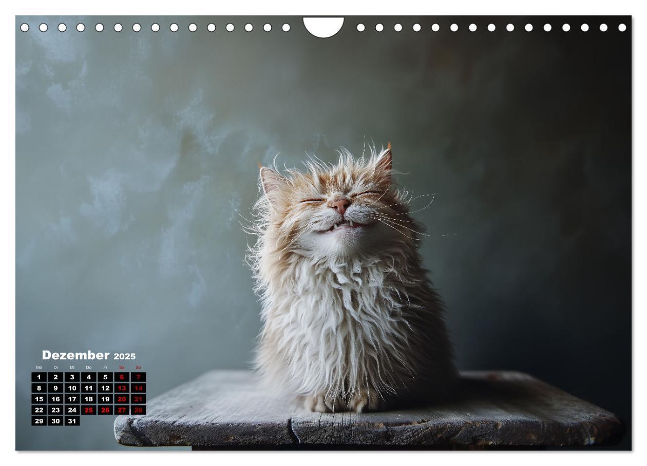 Bild: 9783457201985 | Auch Katzen lachen gern (Wandkalender 2025 DIN A4 quer), CALVENDO...