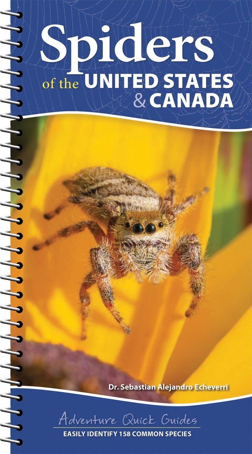 Cover: 9781647553463 | Spiders of the United States | A Guide to Common Species | Echeverri