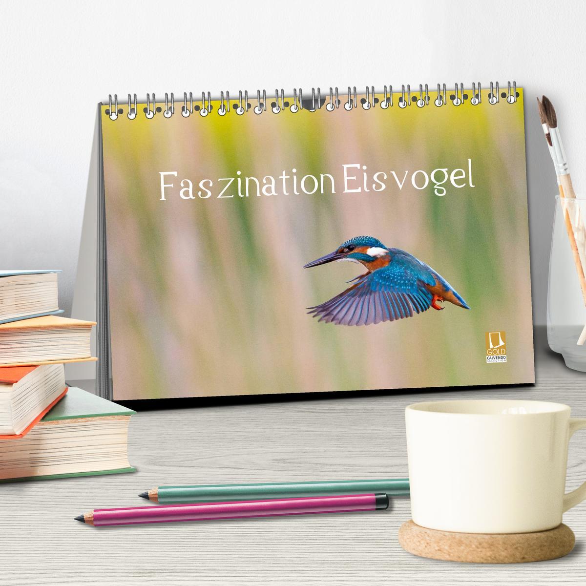 Bild: 9783435491933 | Faszination Eisvogel (Tischkalender 2025 DIN A5 quer), CALVENDO...