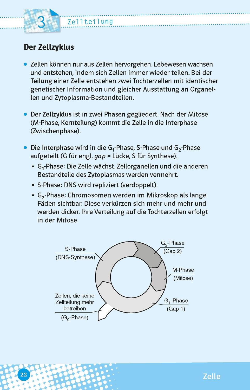 Bild: 9783129497104 | Abi last minute Biologie | Taschenbuch | Deutsch | 2022