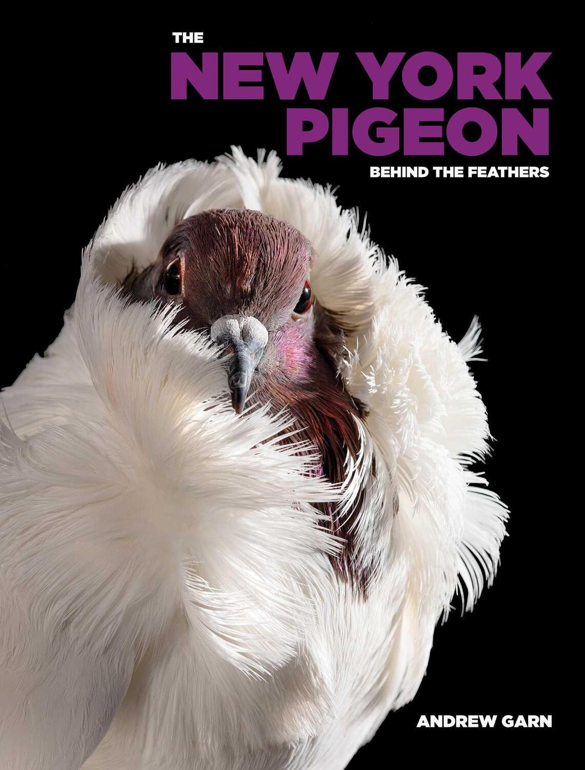 Cover: 9781648230745 | The New York Pigeon | Andrew Garn | Buch | Englisch | 2024