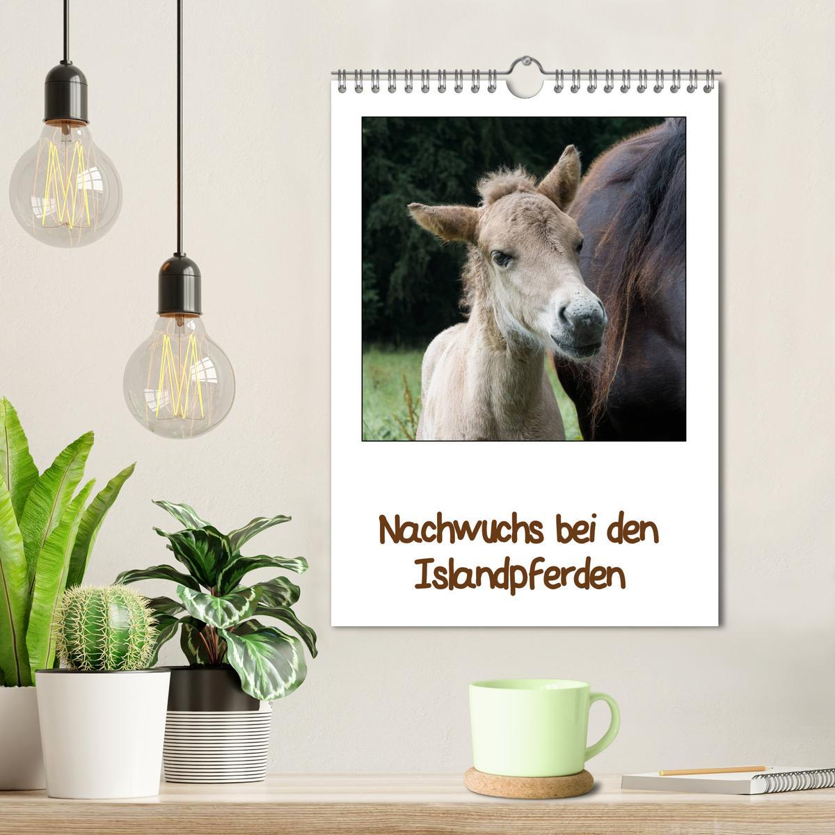 Bild: 9783457039502 | Nachwuchs bei den Islandpferden (Wandkalender 2025 DIN A4 hoch),...