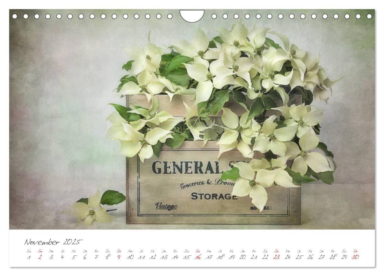 Bild: 9783435667932 | Blüten Poesie (Wandkalender 2025 DIN A4 quer), CALVENDO Monatskalender