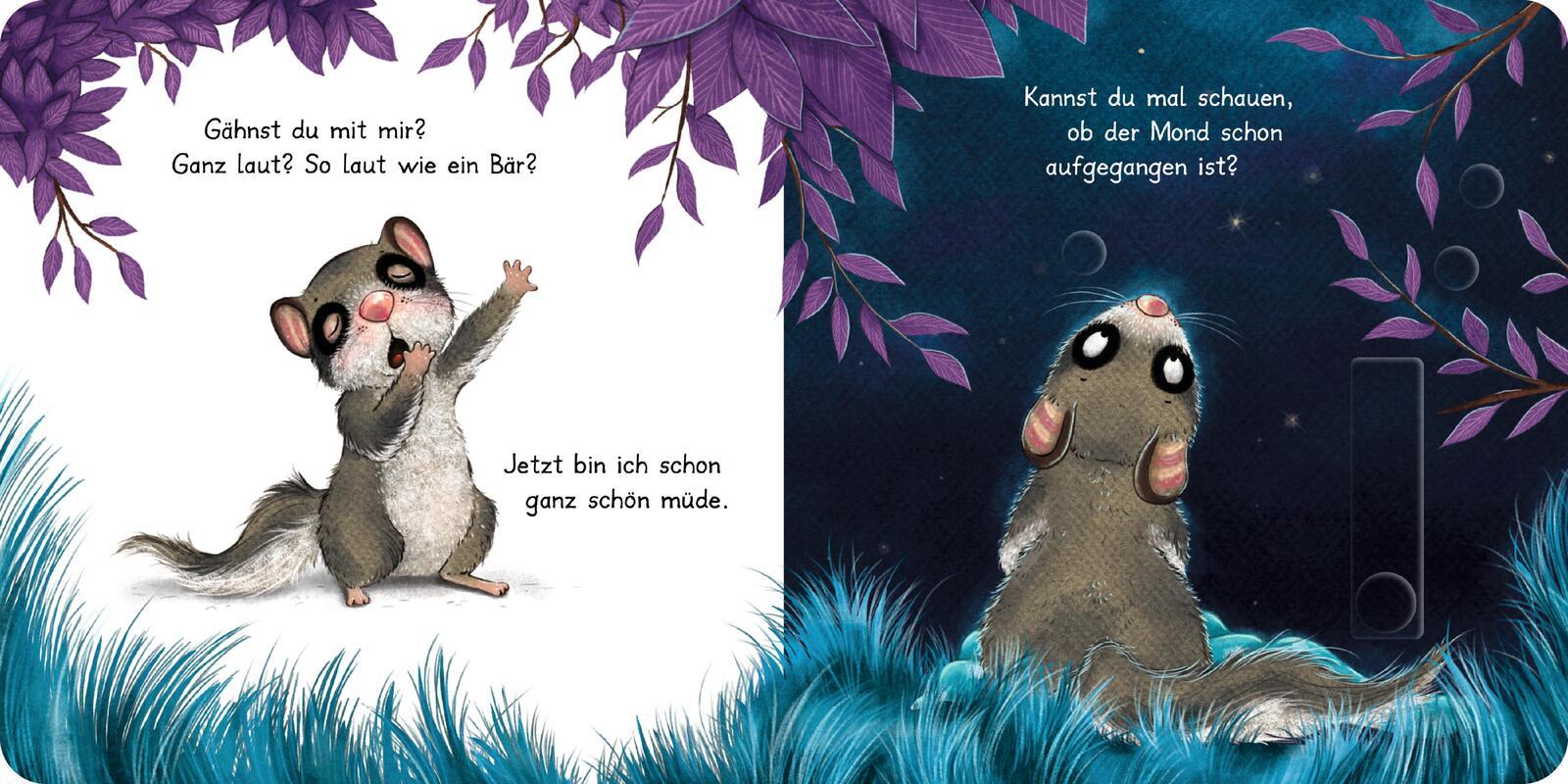 Bild: 9783522460637 | Der kleine Siebenschläfer: Bringst du mich ins Bett? | Buch | 12 S.