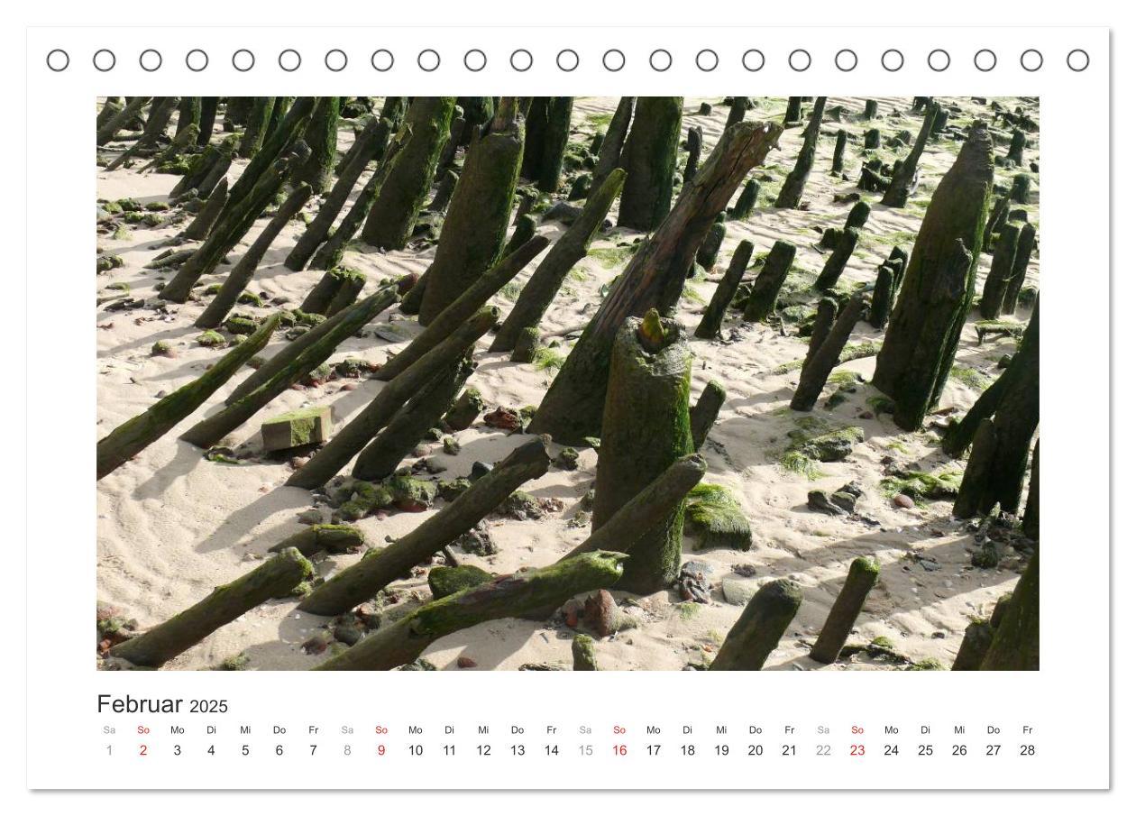 Bild: 9783435478859 | Wangerooge. Der Charme des Ostanlegers (Tischkalender 2025 DIN A5...