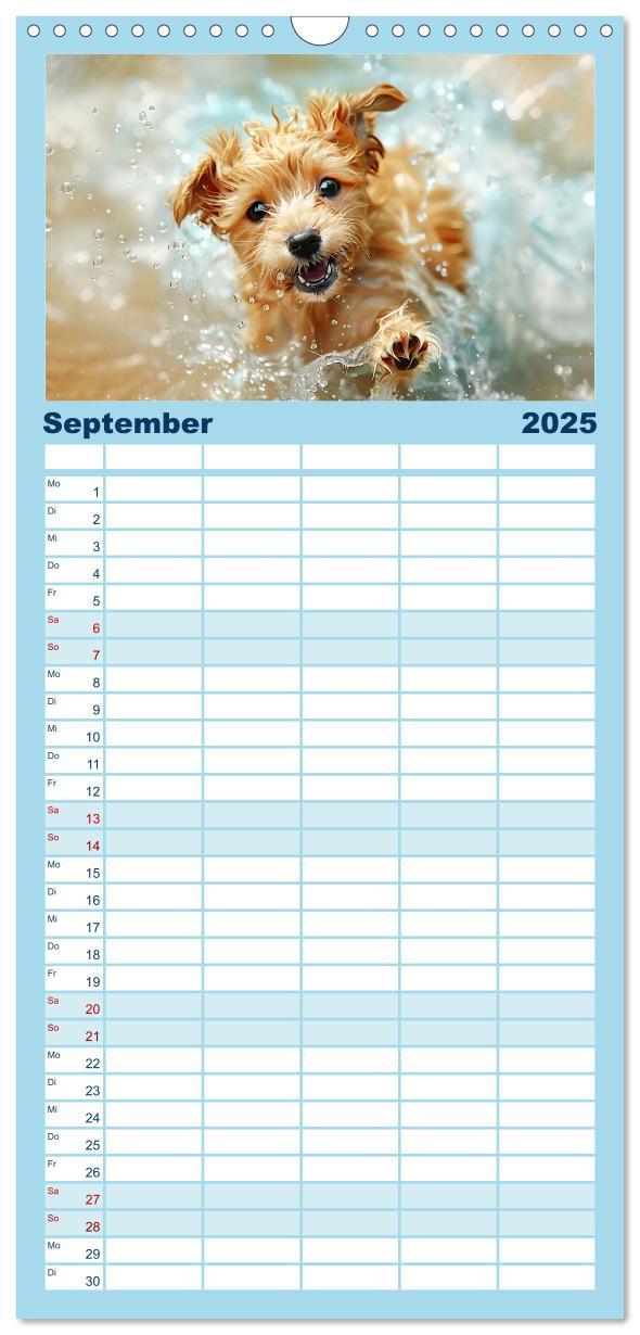 Bild: 9783457195499 | Familienplaner 2025 - Hunde und Wasser mit 5 Spalten (Wandkalender,...