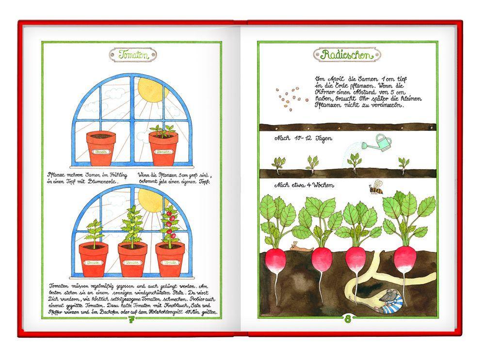 Bild: 9783815792605 | Das Große Buch für kleine Gärtner | Antje Vogel | Buch | 32 S. | 2008