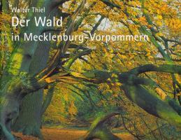 Cover: 9783910150690 | Der Wald in Mecklenburg-Vorpommern | Walter Thiel | Buch | 280 S.