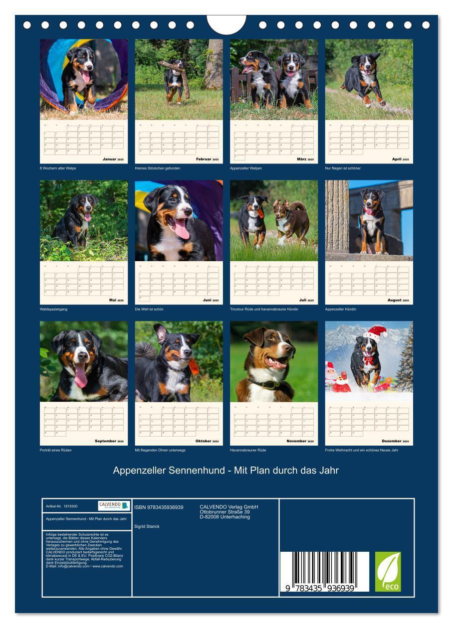 Bild: 9783435936939 | Appenzeller Sennenhund - Mit Plan durch das Jahr (Wandkalender 2025...