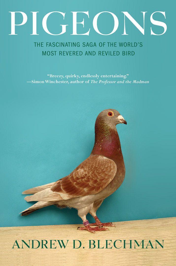 Cover: 9780802143280 | Pigeons | Andrew D Blechman | Taschenbuch | Kartoniert / Broschiert