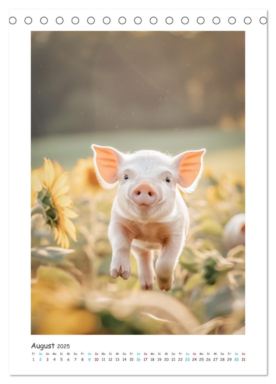 Bild: 9783457160558 | Schwein gehabt (Tischkalender 2025 DIN A5 hoch), CALVENDO...