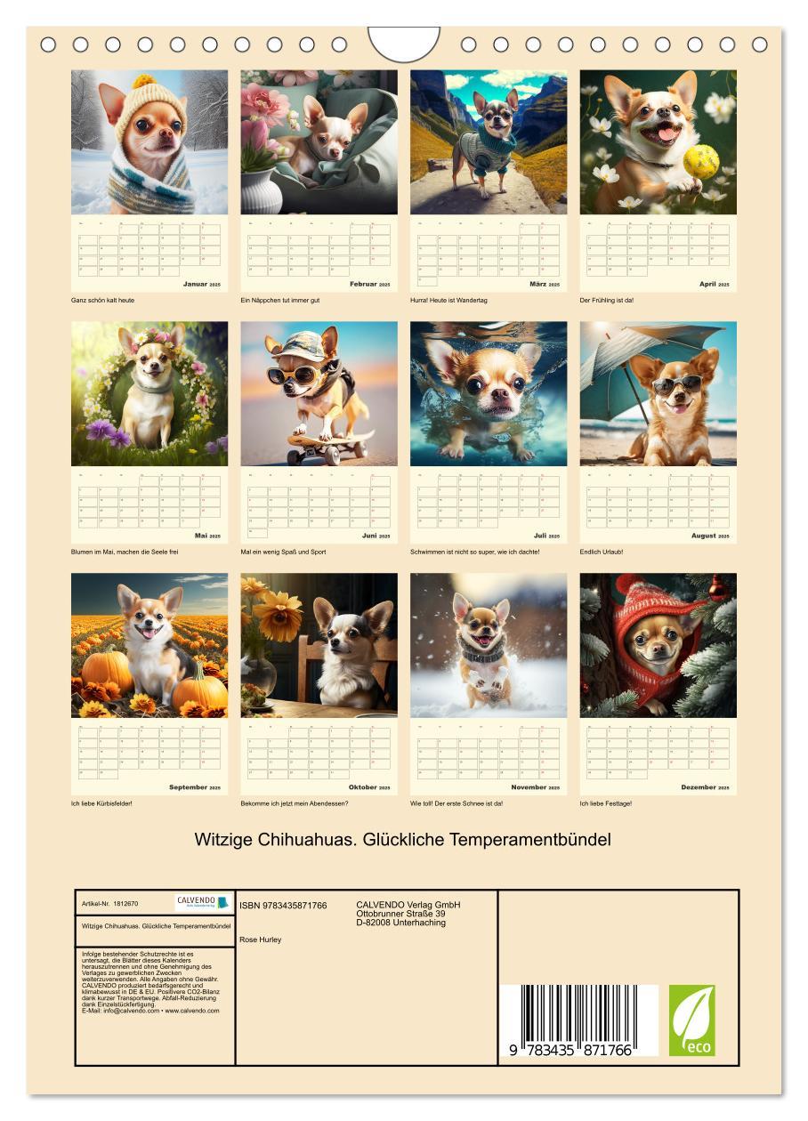 Bild: 9783435871766 | Witzige Chihuahuas. Glückliche Temperamentbündel (Wandkalender 2025...