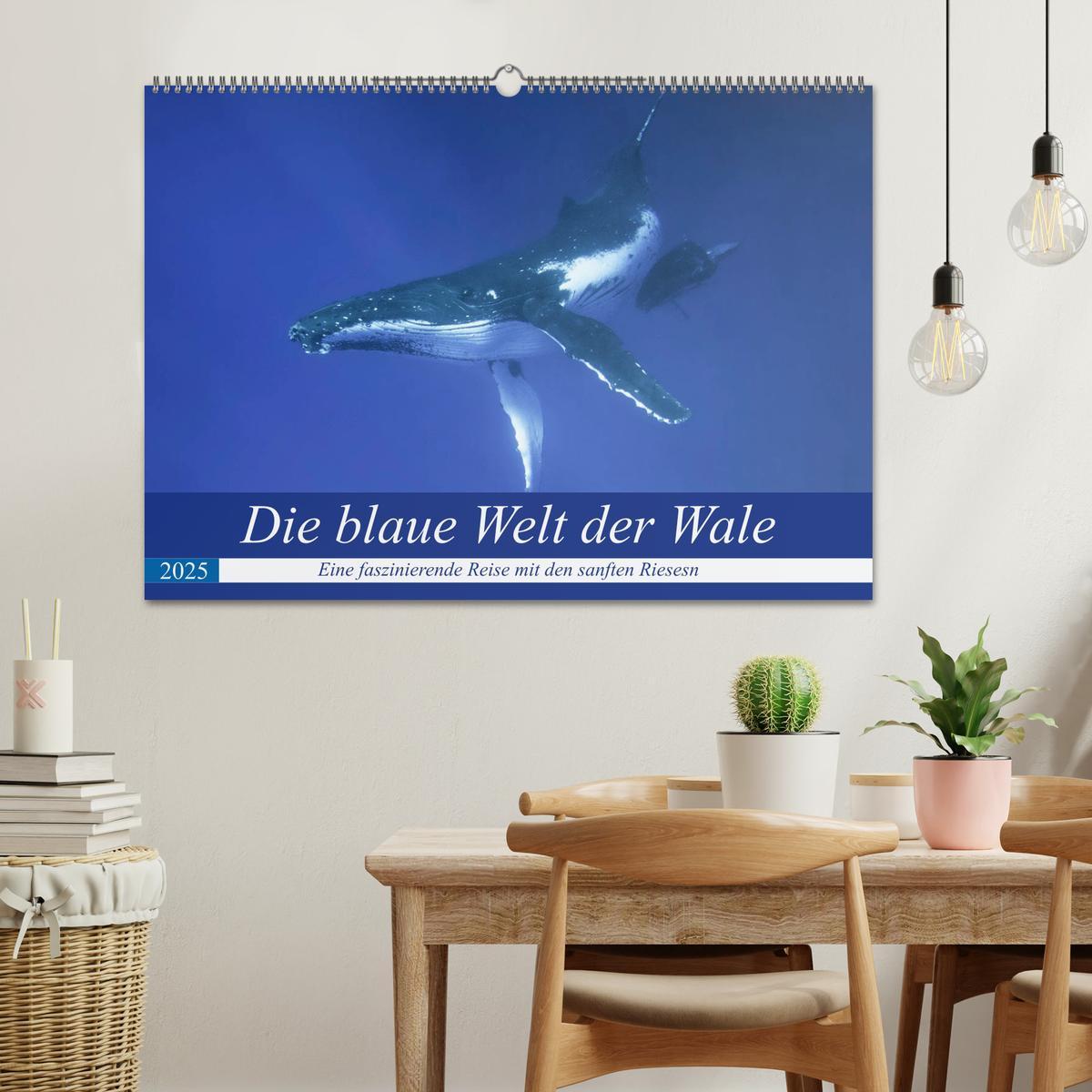 Bild: 9783435390229 | Die blaue Welt der Wale (Wandkalender 2025 DIN A2 quer), CALVENDO...