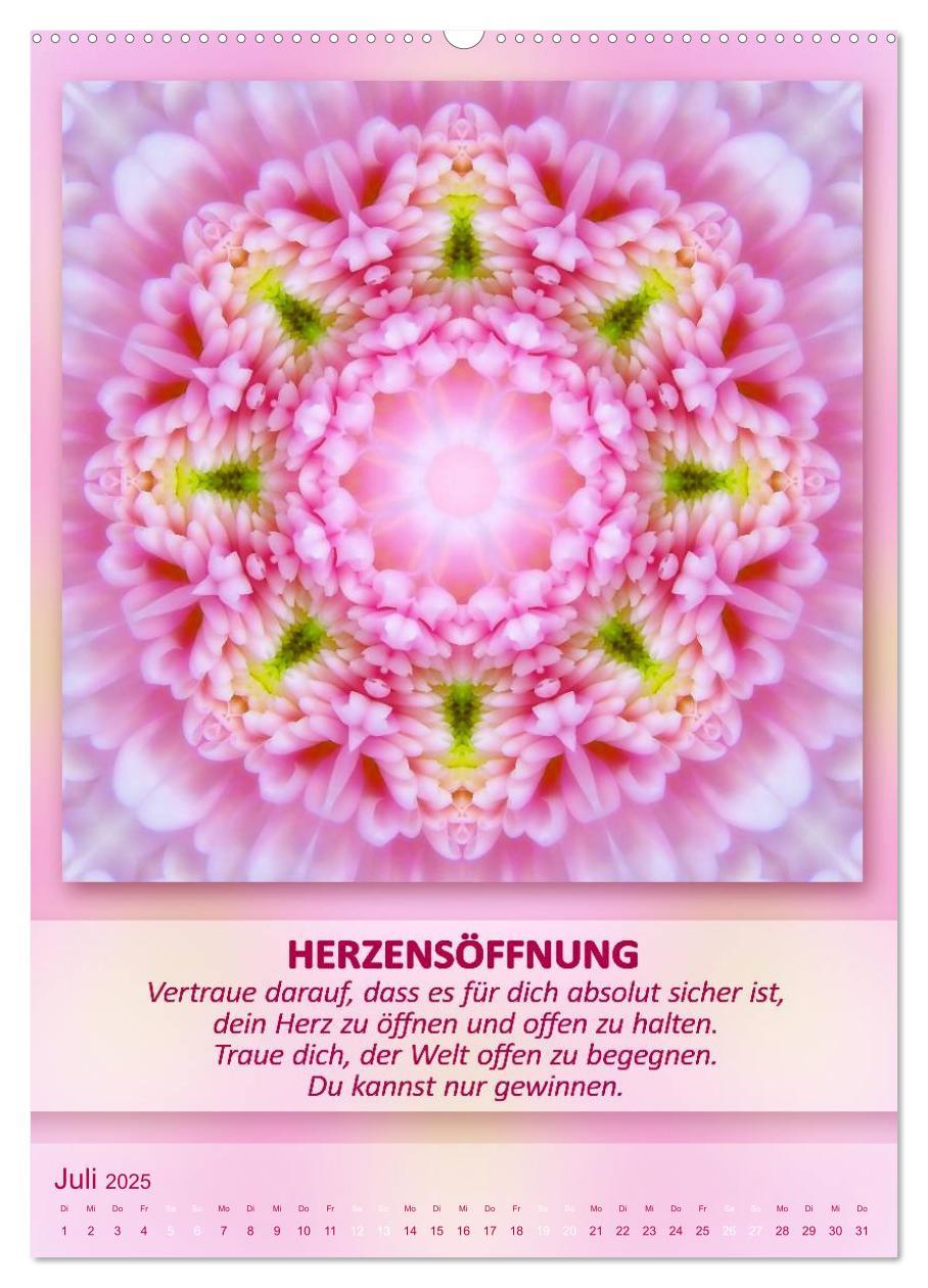 Bild: 9783457085783 | Light Energy Mandalas - Kalender - Vol. 1 (Wandkalender 2025 DIN A2...