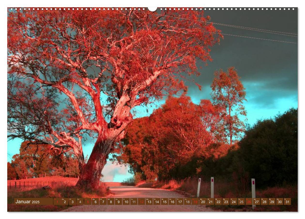 Bild: 9783435740857 | Australien ¿ Impressionen (Wandkalender 2025 DIN A2 quer), CALVENDO...