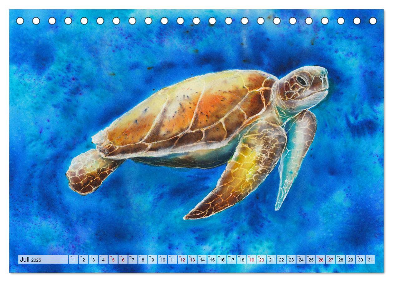 Bild: 9783435120727 | Die Meereswelt in Aquarell (Tischkalender 2025 DIN A5 quer),...