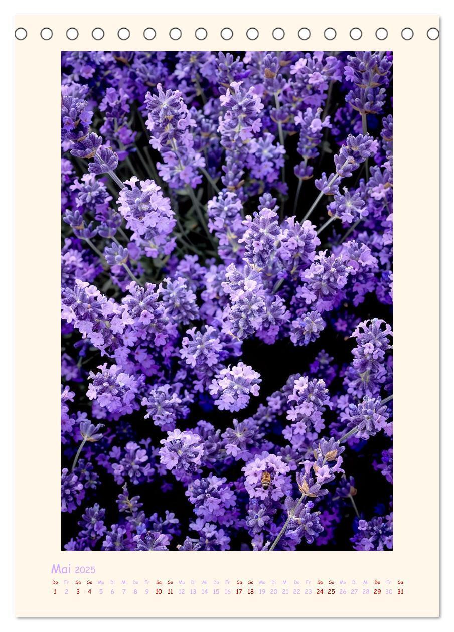 Bild: 9783383827402 | Lavendel (Tischkalender 2025 DIN A5 hoch), CALVENDO Monatskalender