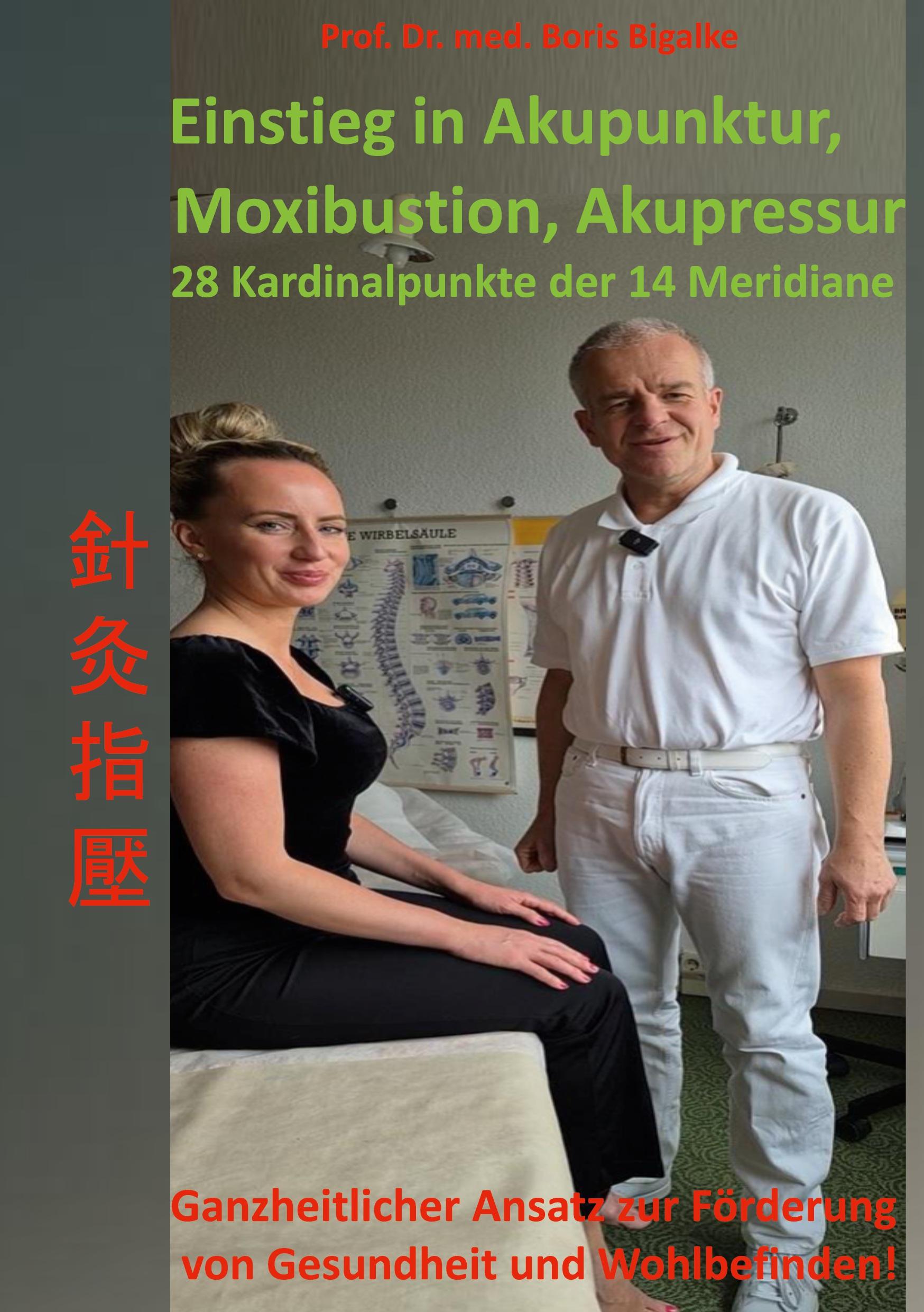 Cover: 9783769324068 | Einstieg in Akupunktur, Moxibustion, Akupressur | Boris Bigalke | Buch