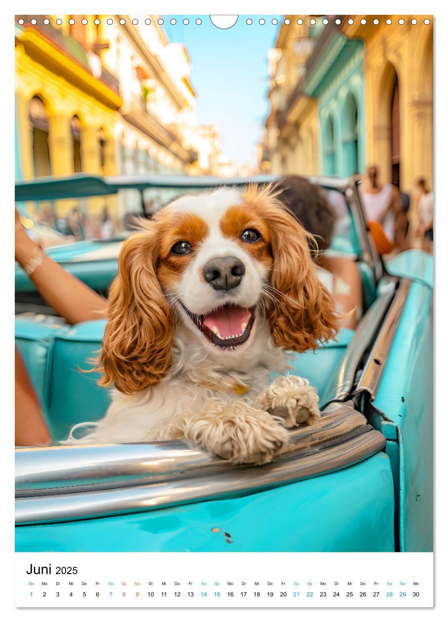 Bild: 9783383763458 | Cavalier King Charles Spaniel - Lustige Weltenreise im Selfie-Modus...